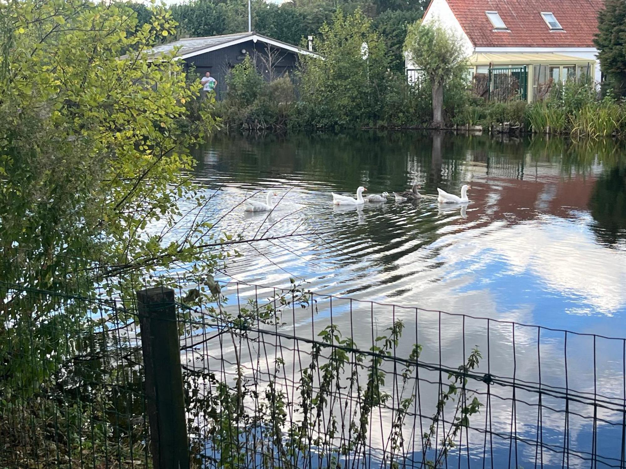 Chaletje Tis-Ier-Goed Jabbeke (West-Flanders) Exterior foto